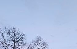 Lavori stradali X Municipio rifacimento asflato