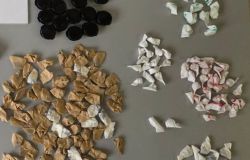 (AGR) Roma, operazione antidroga nella periferia Est, 12 arresti, in manette anche un uomo per maltrattamenti