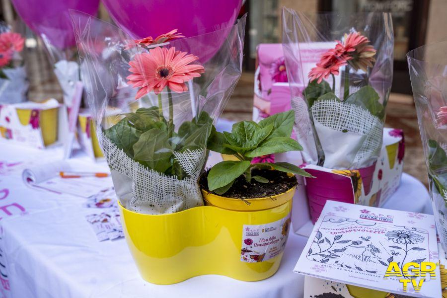 APE Fiori della Cosapevolezza APE Fiori della Cosapevolezza