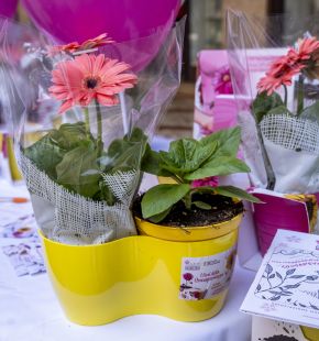 (AGR) Endometriosi, i fiori della consapevolezza