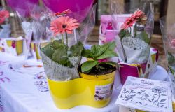 (AGR) Endometriosi, i fiori della consapevolezza