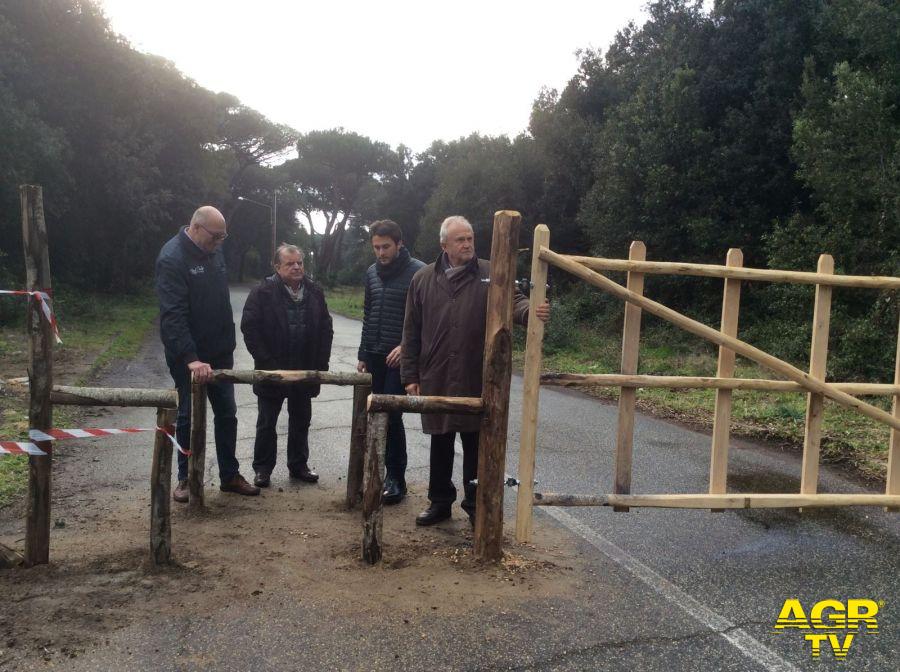 Fregene, nasce il parco dei lecci Fregene, nasce il parco dei lecci