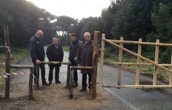 Fregene, nasce il parco dei lecci