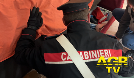 Carabinieri Frascati-Tor Vergata intervenuti per salvare l'anziana madre Carabinieri Frascati-Tor Vergata intervenuti per salvare l'anziana madre