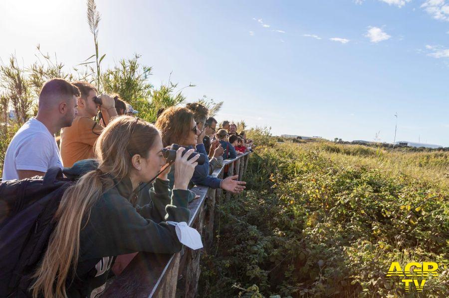 Birdwatching all'Oasi Lipu di Ostia - foto di Francesco Baccelli Birdwatching all'Oasi Lipu di Ostia - foto di Francesco Baccelli