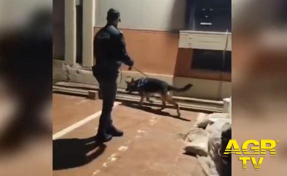 (AGR) Sicurezza a Cornelia, rafforzati i controlli della Questura di Rom (AGR) Sicurezza a Cornelia, rafforzati i controlli della Questura di Rom