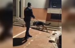 (AGR) Sicurezza a Cornelia, rafforzati i controlli della Questura di Rom