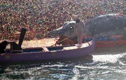 L'arrivo della Pantegana a ponte Rialto