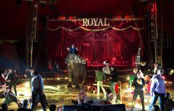 Festival Opportunità