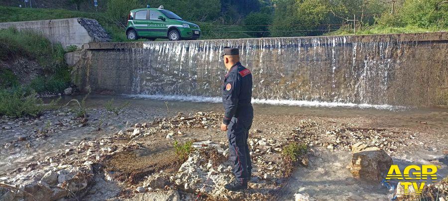 (AGR) Lazio, Carabinieri Forestali oltre 80 mila controlli, 1530 i reati contestati e 2856 gli illeciti