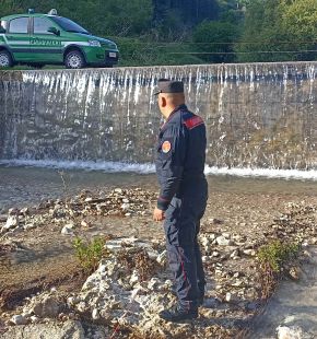 (AGR) Lazio, Carabinieri Forestali oltre 80 mila controlli, 1530 i reati contestati e 2856 gli illeciti