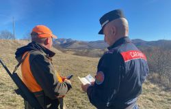 Carabinieri Forestali