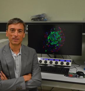 (AGR) Diabete tipo 1, possibile ritardare la malattia con il Teplizumab, un anticorpo monoclonale