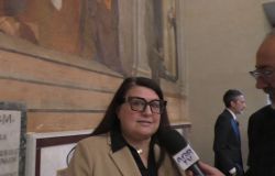 Senatrice della Repubblica Cinzia Pellegrino