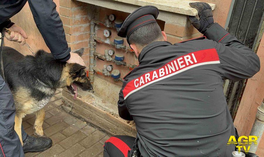 Carabinieri controlli antidroga con unità cinofile Carabinieri controlli antidroga con unità cinofile