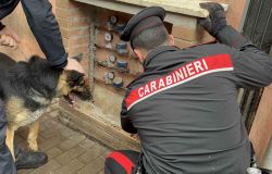 Roma, giro di vite sullo spaccio dal centro alle periferie, 19 arresti
