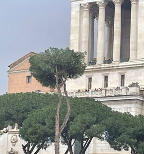 Roma, via Fori Imperiali associazioni ambientaliste in campo per la tutela del paesaggio Roma, via Fori Imperiali associazioni ambientaliste in campo per la tutela del paesaggio