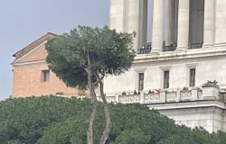 Roma, via Fori Imperiali associazioni ambientaliste in campo per la tutela del paesaggio
