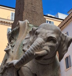 Roma, danneggiato l'Elefantino della Minerva, distaccato un pezzo della zanna sinistra già interessato da un restauro