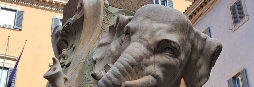 Roma, danneggiato l'Elefantino della Minerva, distaccato un pezzo della zanna sinistra già interessato da un restauro Roma, danneggiato l'Elefantino della Minerva, distaccato un pezzo della zanna sinistra già interessato da un restauro