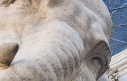 Elefante della Minerva danneggiato particolare