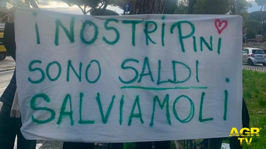 Nel giugno 2025 un agronomo aveva giudicato gli alberi in buone condizioni ©PH da comunicato Stampa Nel giugno 2025 un agronomo aveva giudicato gli alberi in buone condizioni ©PH da comunicato Stampa