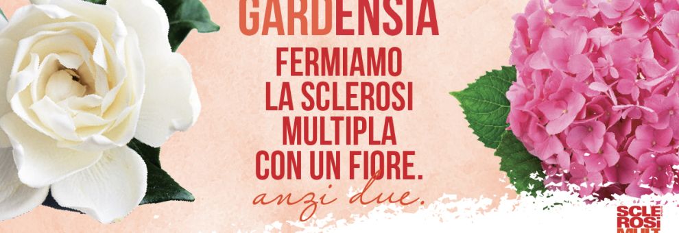 Roma, fermiamo la sclerosi multipla con un fiore....anzi due:gardenie ed ortensie Roma, fermiamo la sclerosi multipla con un fiore....anzi due:gardenie ed ortensie