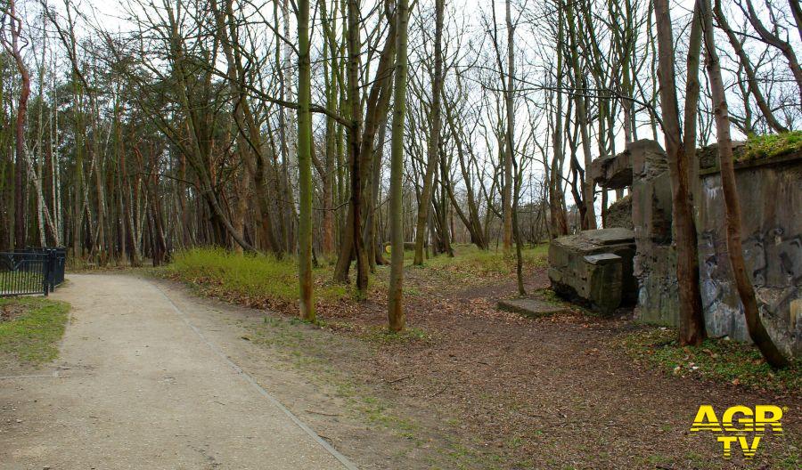 pixabay bunker foto archivio pixabay bunker foto archivio