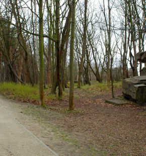 Roma, riaperto ed accessibile a tutti il bunker di Villa Ada Savoia Roma, riaperto ed accessibile a tutti il bunker di Villa Ada Savoia