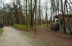 Roma, riaperto ed accessibile a tutti il bunker di Villa Ada Savoia