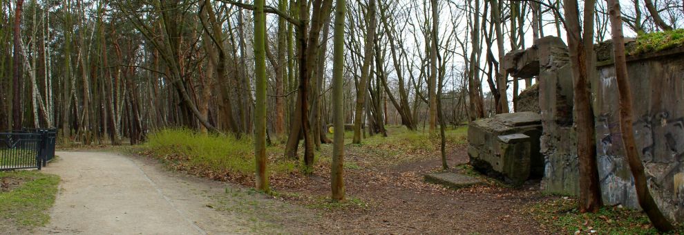 Roma, riaperto ed accessibile a tutti il bunker di Villa Ada Savoia Roma, riaperto ed accessibile a tutti il bunker di Villa Ada Savoia