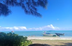 ISOLE MAURITIUS @RDP