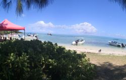 L'isola dei cervi @RDP