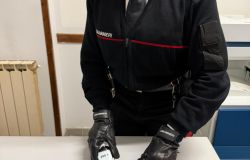 Carabinieri Anzio droga sequestrata a Tor San Lorenzo