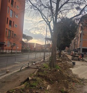 Casalbernocchi, nuovi stalli di sosta in via Egidio Garra nell'isola spartitraffico