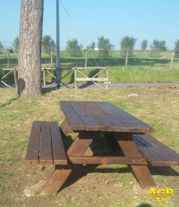Fiumicino, sistemato il verde pubblico