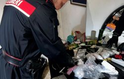 Carabinieri Castel Gandolfo perquisizioni domiciliari