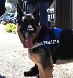 Roma Est, blitz della Polizia, scoperta una discarica di droga, sequestrati 5 kg. di stupefacente, 9 arresti