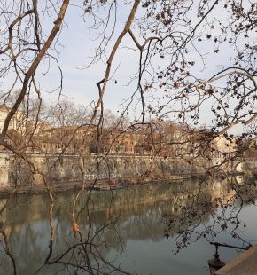 14 marzo, Giornata internazionale di Azione per i fiumi, Adopt rivers and lakes appello WWF per ripulire fiumi e laghi