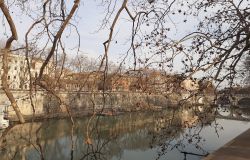 14 marzo, Giornata internazionale di Azione per i fiumi, Adopt rivers and lakes appello WWF per ripulire fiumi e laghi