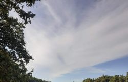 WWF Italia - Tevere  Roma foto da comunicato