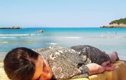 foto Daniela Tentis da Pixabay