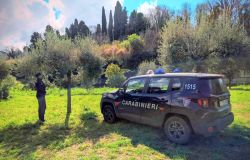 FORESTALE_-_Sanzionato_per_espianto_abusivo_di_80_ulivi_(1)