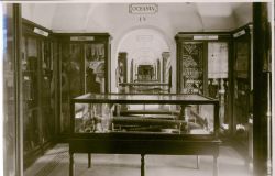 MUCIV-Museo delle Civiltà_Museo Presitorico ed Etnografico di Roma_Palazzo del Collegio Romano_vetrine_Courtesy