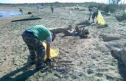 Domenica 26 febbraio, pulizia delle spiagge a Fiumicino