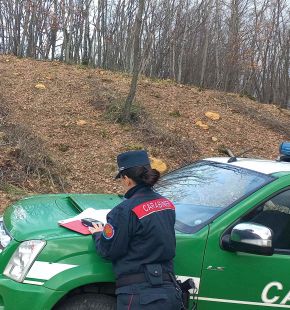 Sant'Oreste, si sente male nel bosco durante la raccolta di asparagi, salvata dai Carabinieri Forestali