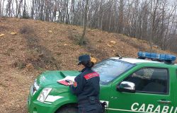 Sant'Oreste, si sente male nel bosco durante la raccolta di asparagi, salvata dai Carabinieri Forestali