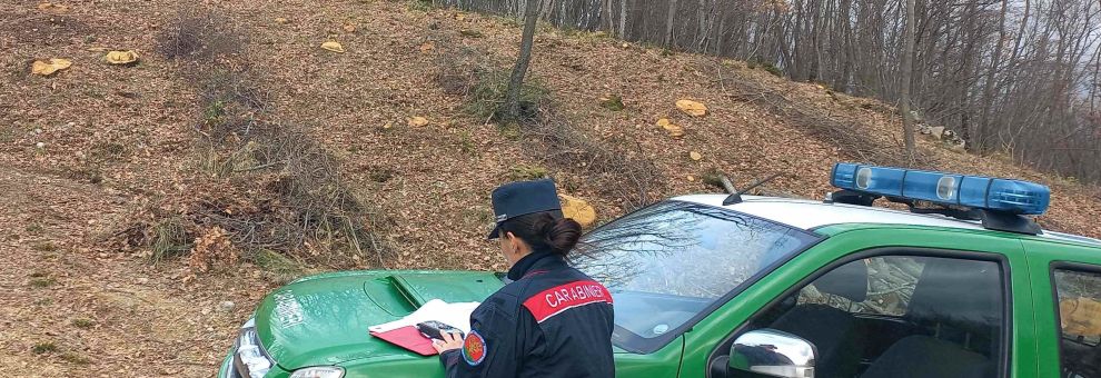 Sant'Oreste, si sente male nel bosco durante la raccolta di asparagi, salvata dai Carabinieri Forestali