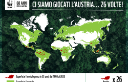 21 marzo, Giornata Mondiale delle Foreste, il WWF lancia l'allarme sulla deforestazione