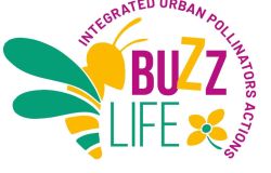 buzz life logo da comunicato stampa Legambiente